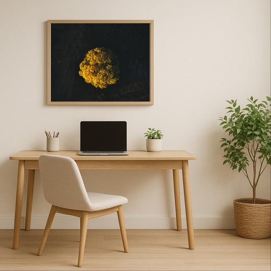 Poster Baum von oben Rhön – Größenvergleich im Wohnraum