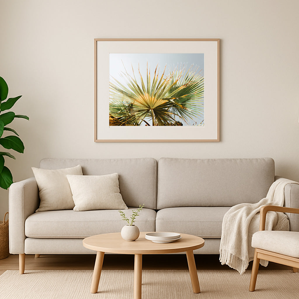 Palmenblatt Poster als tropische Wanddekoration im Wohnraum