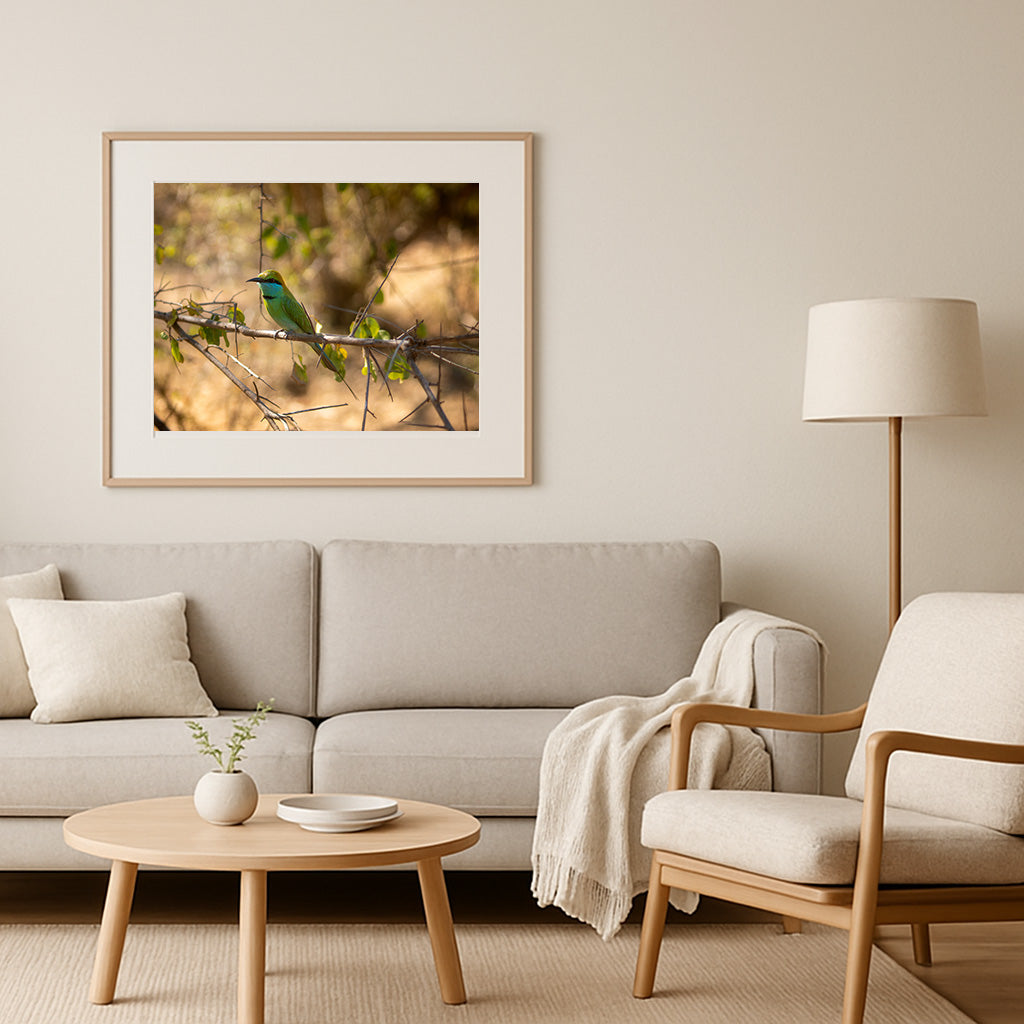 Poster Bienenfresser im Yala Nationalpark