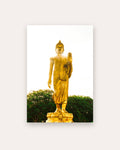 Poster Buddha Koh Samui Thailand – Großer goldener Buddha wacht über die Insel