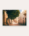 Poster Mdina Malta – Verwinkelte Gasse der alten Hauptstadt im goldenen Kalksteinlicht
