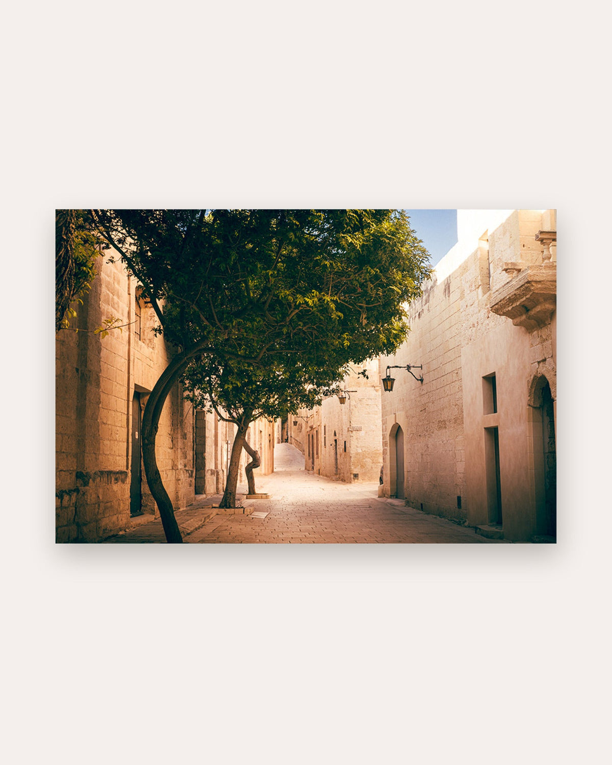 Poster Mdina Malta – Verwinkelte Gasse der alten Hauptstadt im goldenen Kalksteinlicht