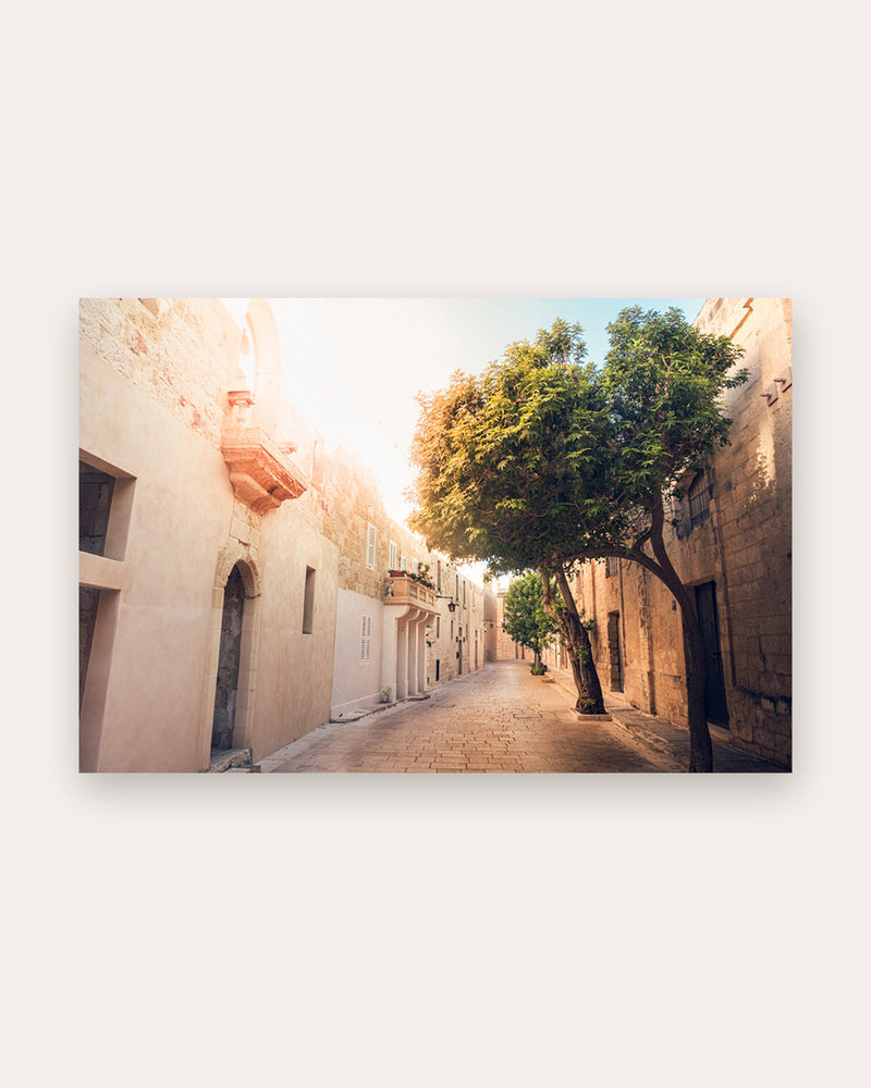 Poster Mdina Malta I – Goldenes Kalksteinlicht in den Gassen der alten Hauptstadt