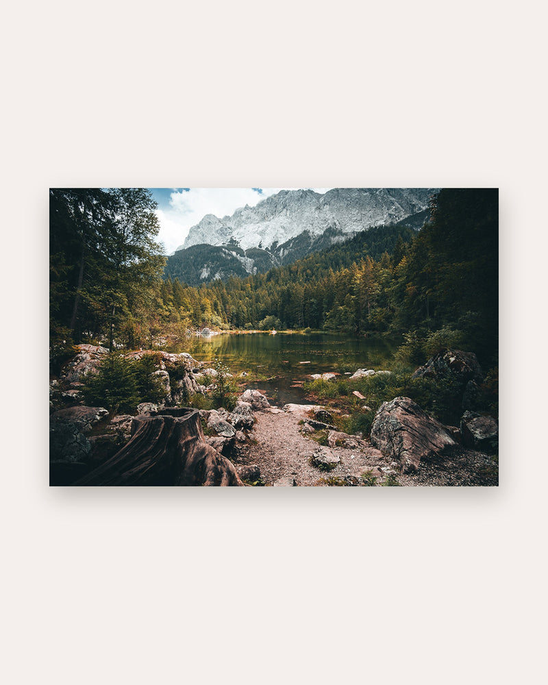 Poster Eibsee Wald Bayern – Naturbild aus den bayerischen Alpen