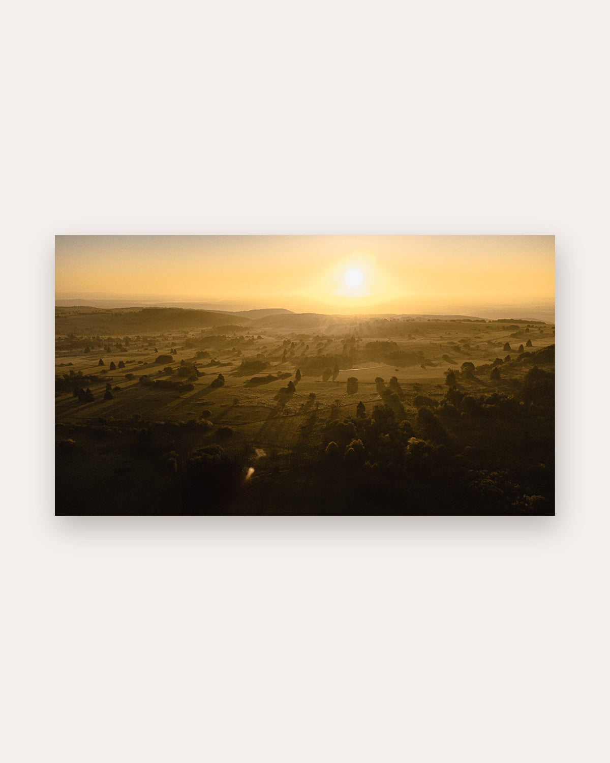 Poster Rhön Sonnenaufgang – Nebelwald im goldenen Morgenlicht Hessen