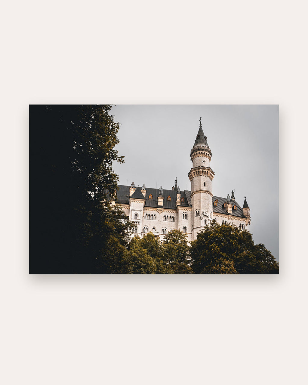 Poster Schloss Neuschwanstein Bayern – Märchenschloss erhebt sich aus dem Wald