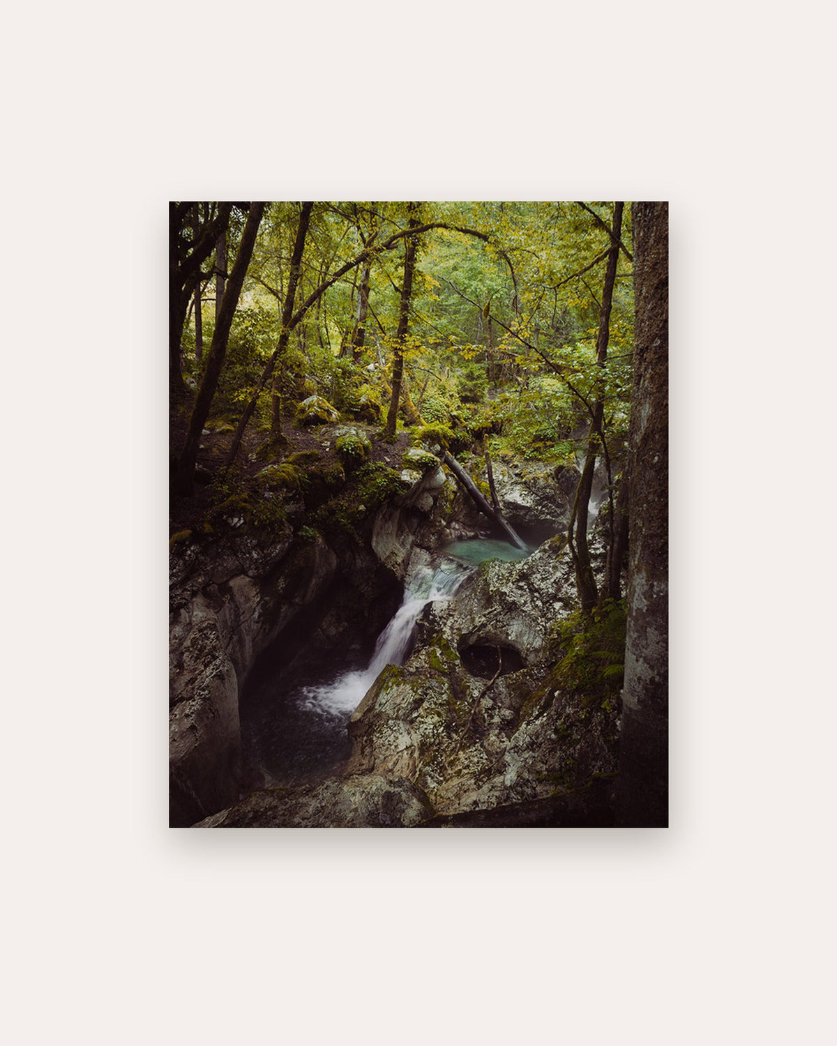 Poster Soča Wasserfall Slowenien – Wilder Wasserfall im sattgrünen Bergwald