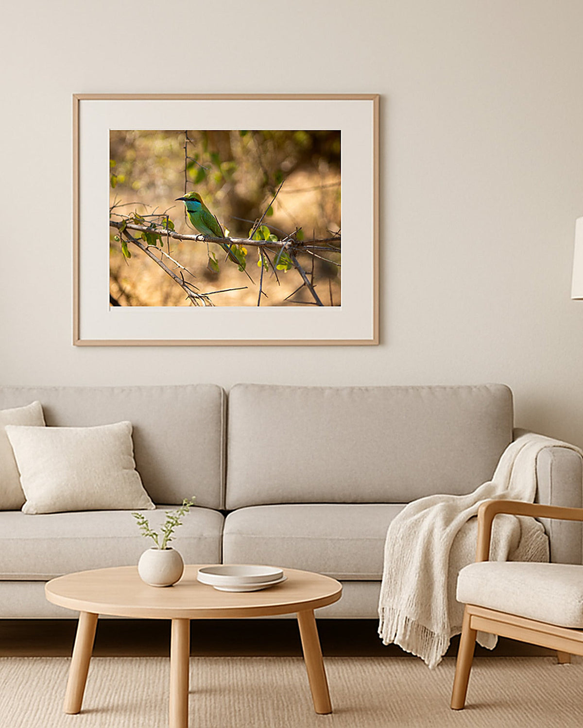 Poster Bienenfresser Yala Nationalpark – Größenvergleich im Wohnzimmer