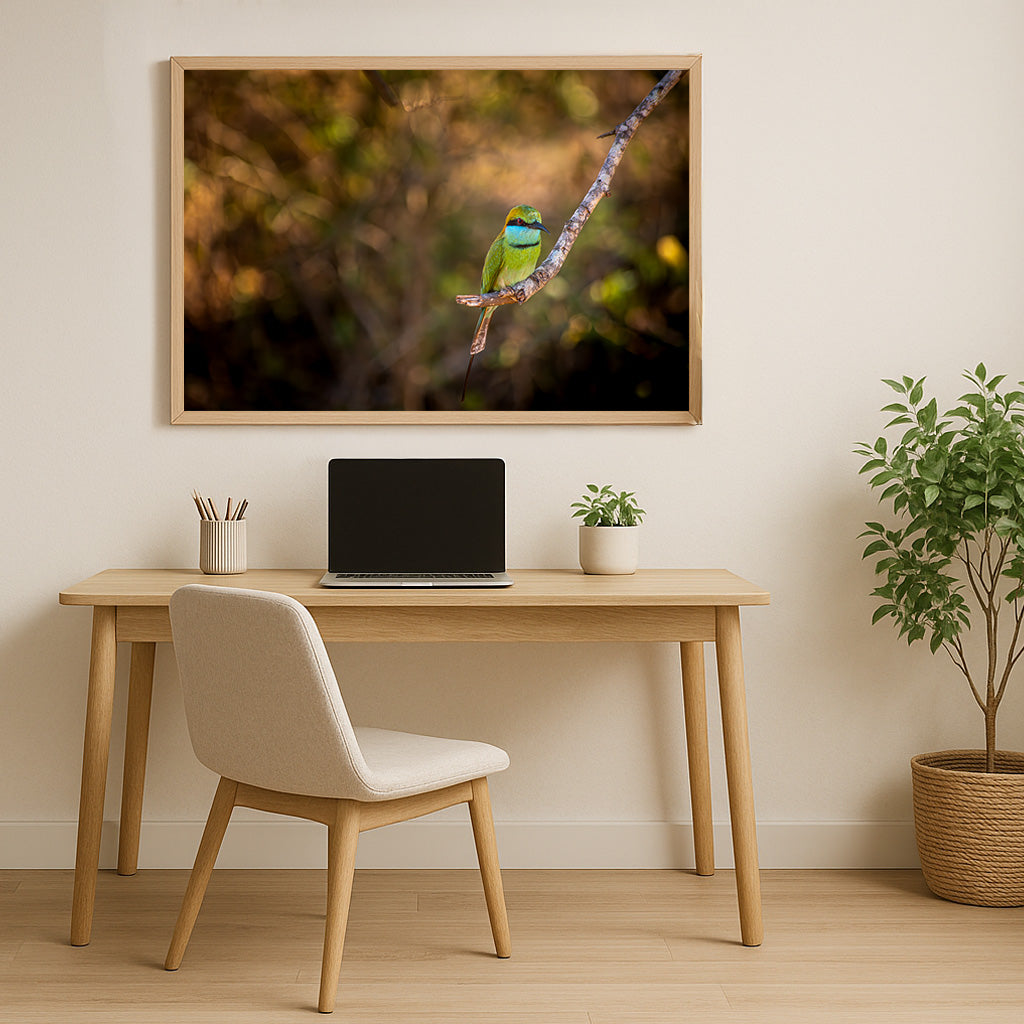 Poster Bienenfresser Sri Lanka – Schillerndes Gefieder im Yala Nationalpark