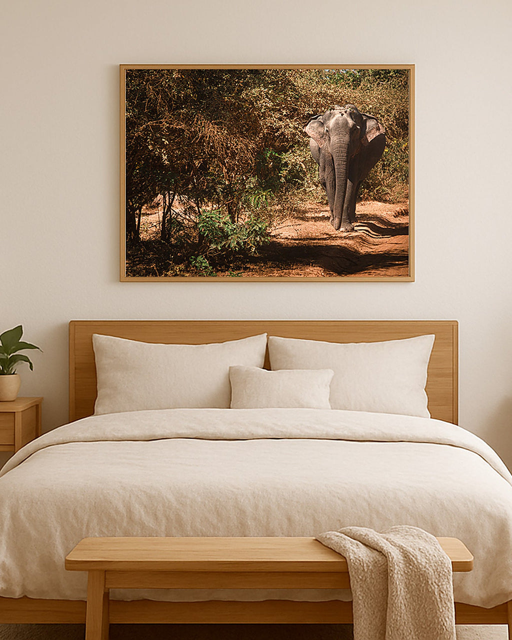 Poster Elefantenbulle Yala Nationalpark Sri Lanka – Größenvergleich im Schlafzimmer