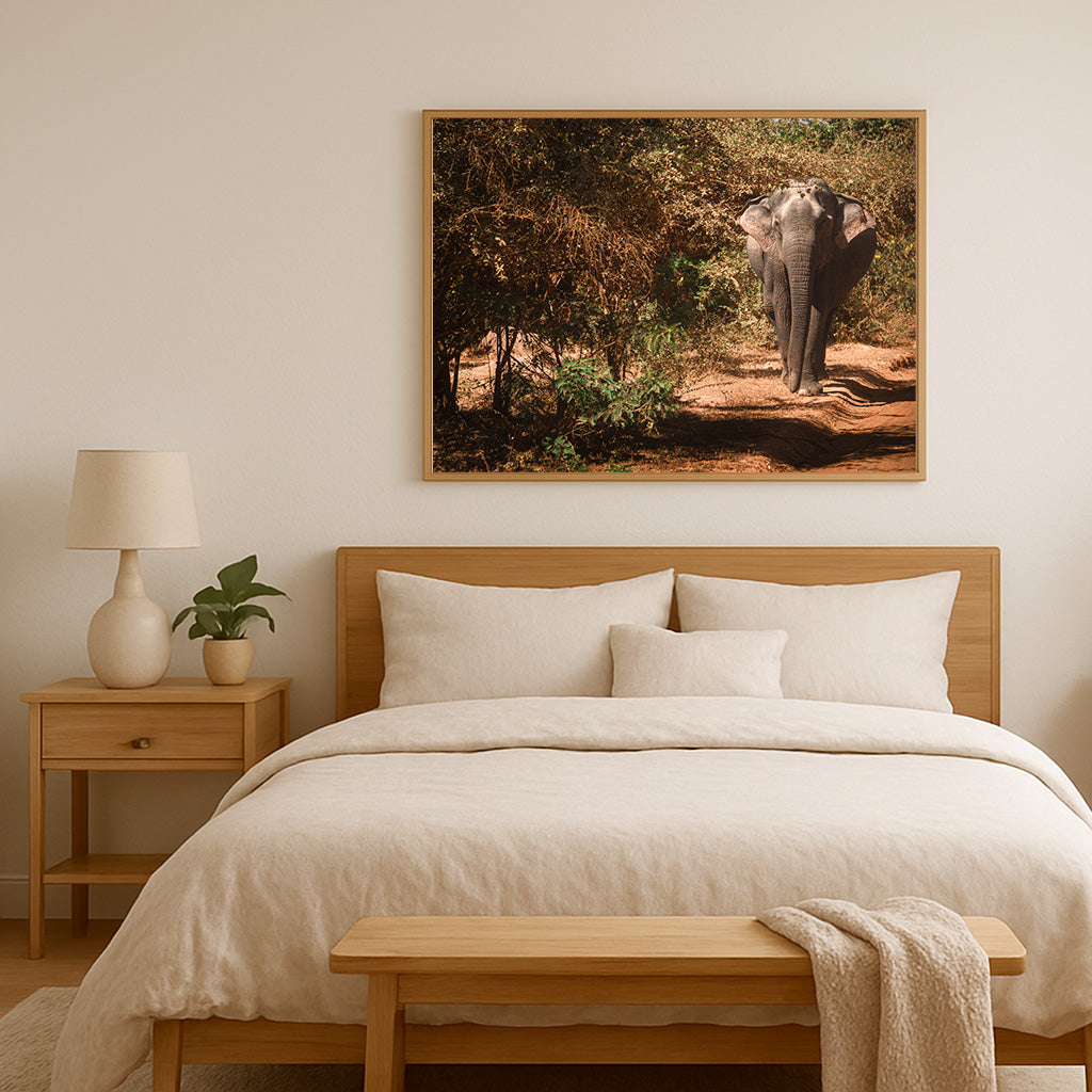 Poster Elefantenbulle im Yala Nationalpark – Sri Lanka Wildnis