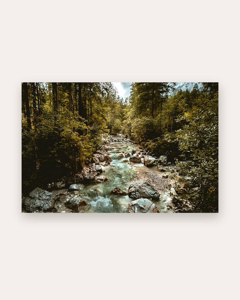Poster Zauberwald Bayern – Mystischer Fluss zwischen mächtigen Bäumen